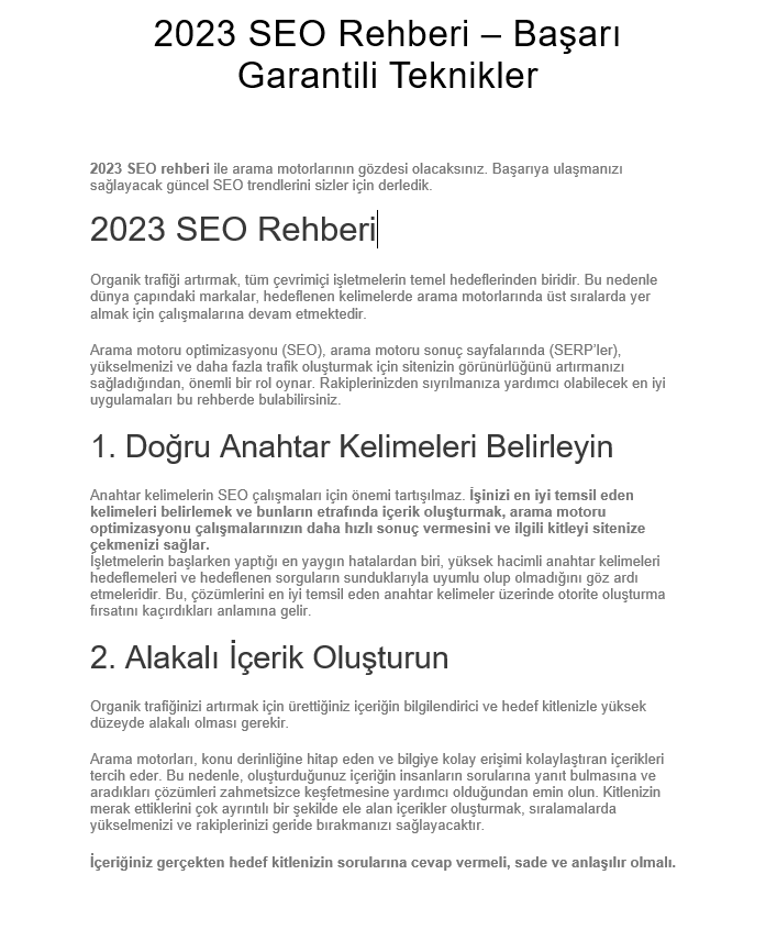 SEO uyumlu makale örneği